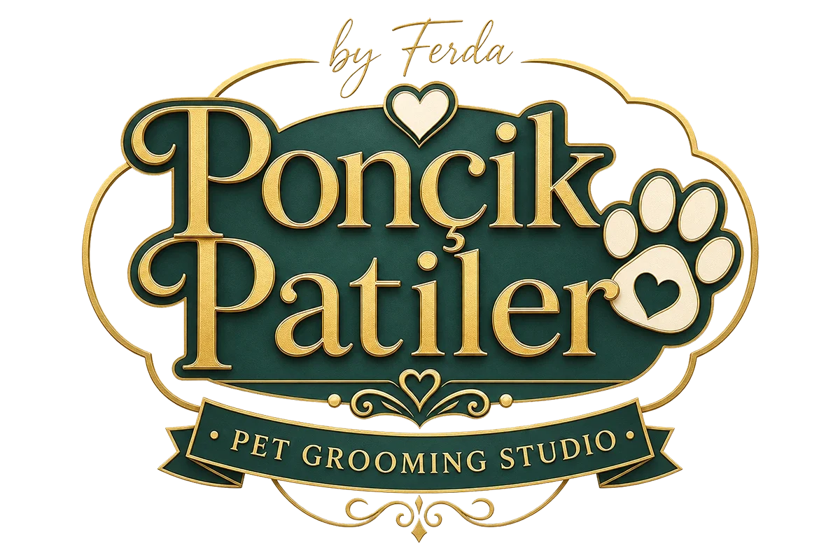 Ponçik Patiler
